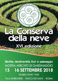 Conserva della neve